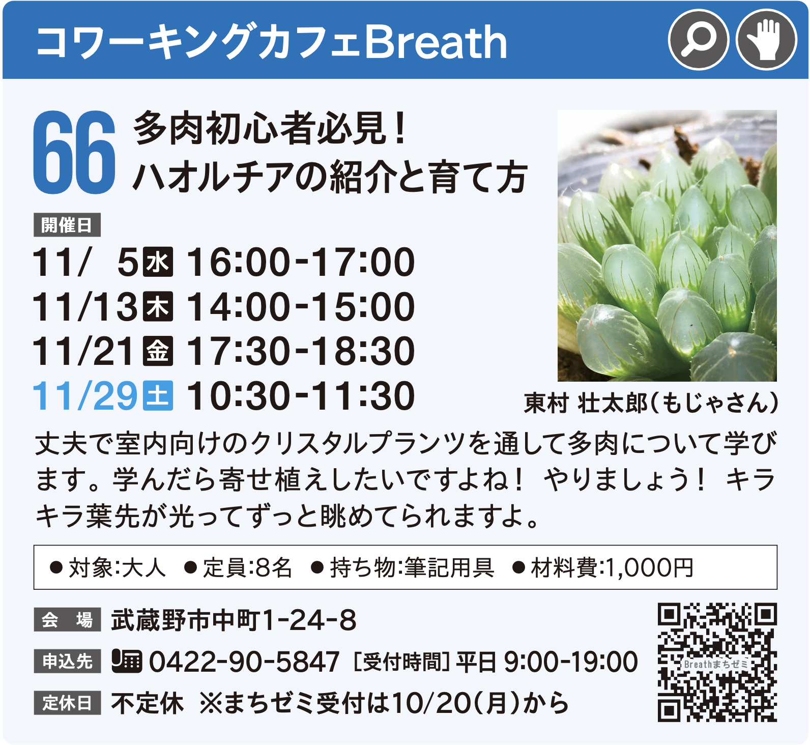 多肉初心者必見！ハオルチアの紹介と育て方